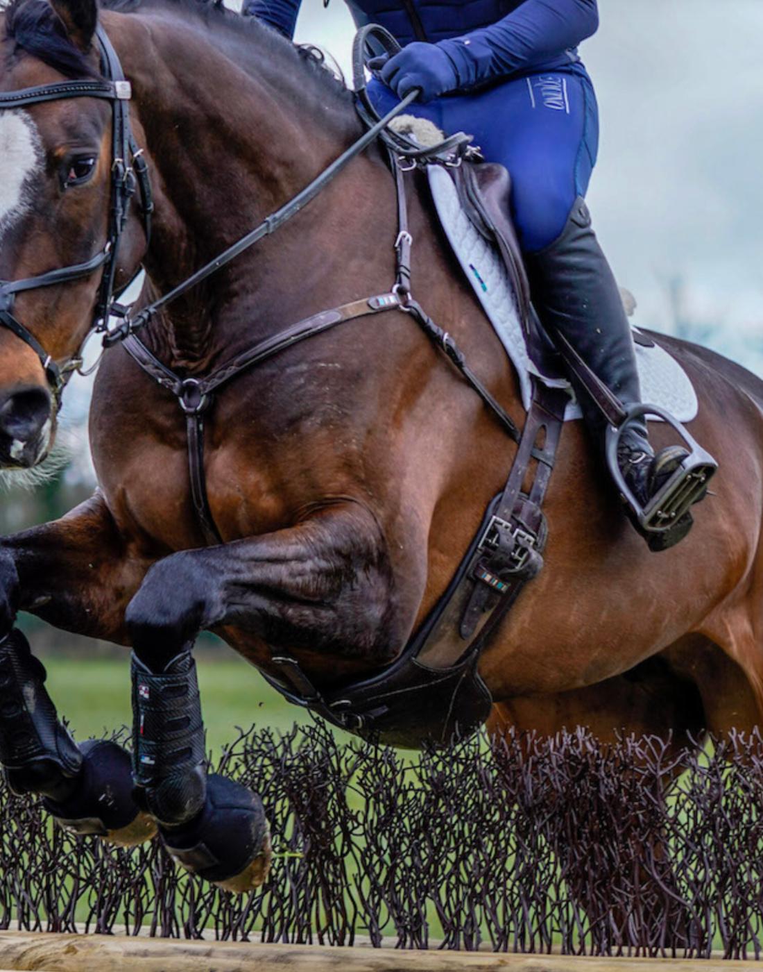 Well Kept Facilities at Cross Country Riding in the Heart of South Oxfordshire