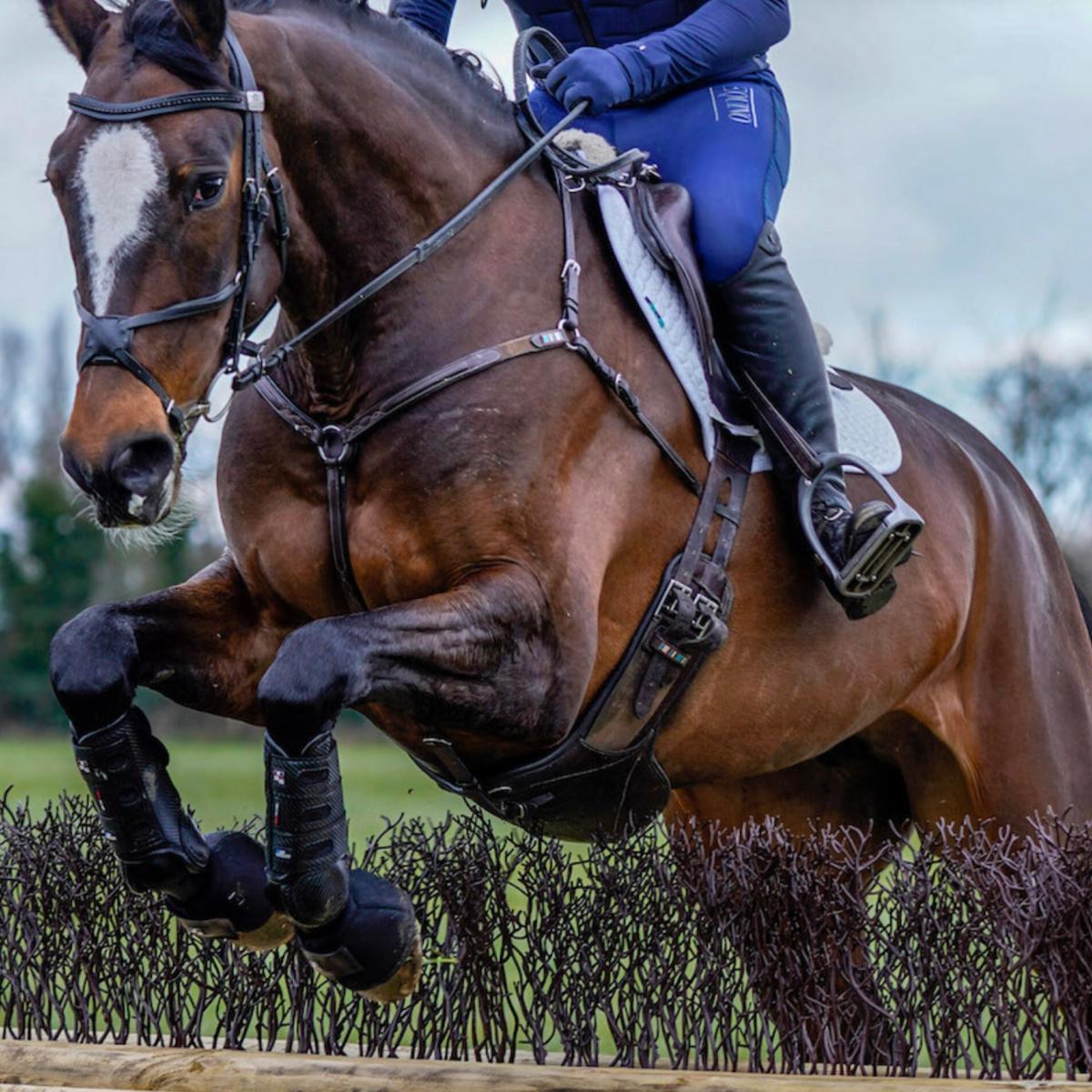 Chiltern Cross Country (CXC) Training, South Oxfordshire